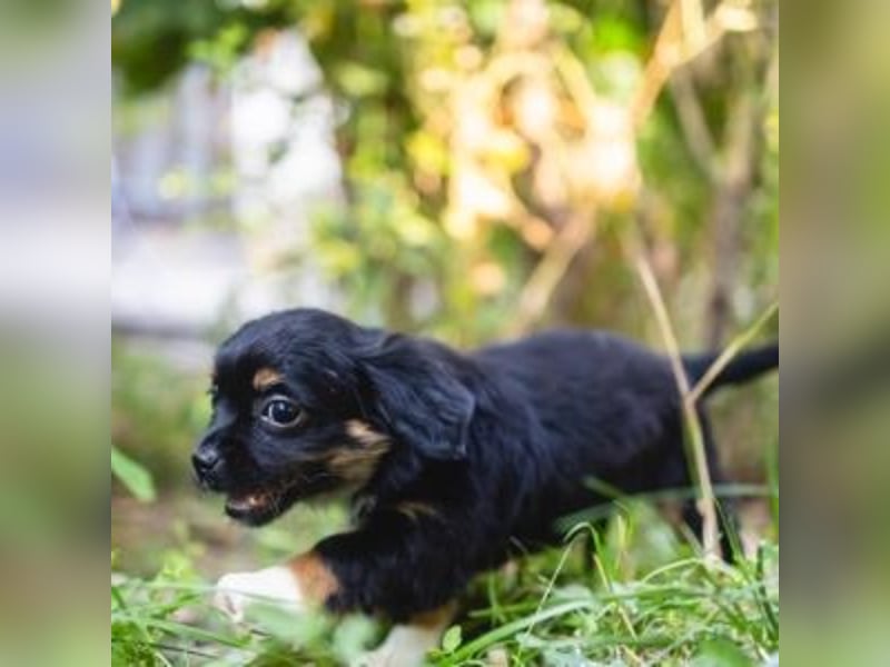BIMBA-spannende Ausflüge, gemeinsame Urlaube und einem rundum Sorglos-Paket gewünscht