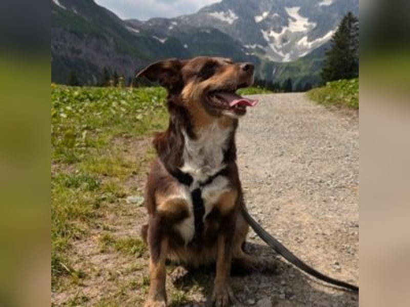 Caramel – sucht Menschen mit Geduld