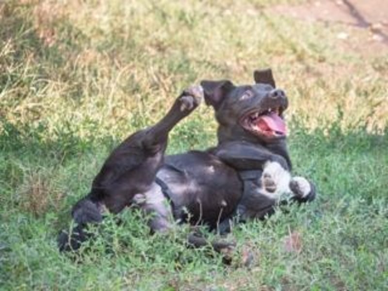 Shannon-Neugierig und doch ein bisschen vorsichtig