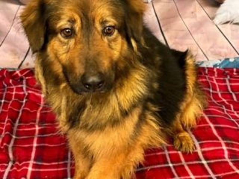 BOBBY-sucht Menschen, die ihm zeigen, was Leben auch sein kann