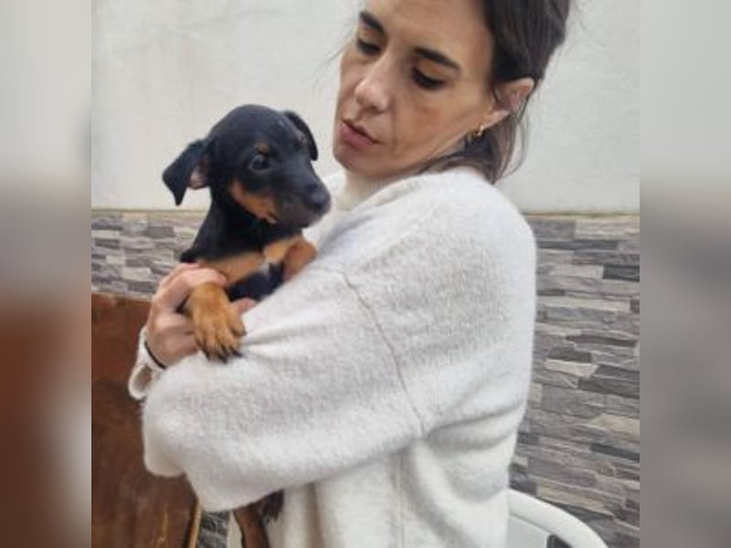 POLO-bald alt genug für seinen guten Start ins Leben