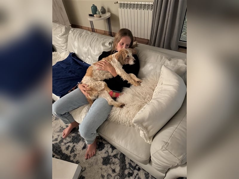 FINLEY-wahrer Engel, tapferer Held