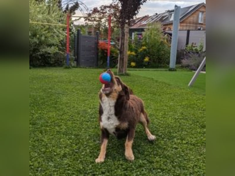 Caramel – sucht Menschen mit Geduld