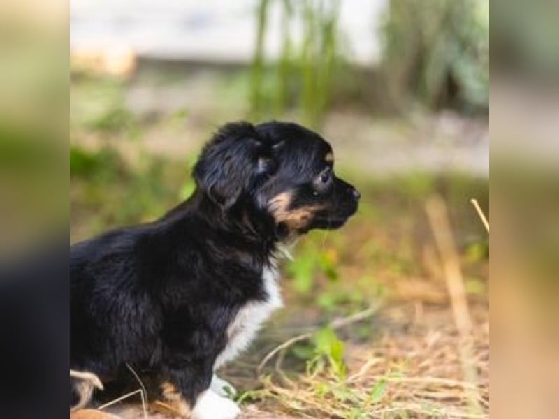 BIMBA-spannende Ausflüge, gemeinsame Urlaube und einem rundum Sorglos-Paket gewünscht
