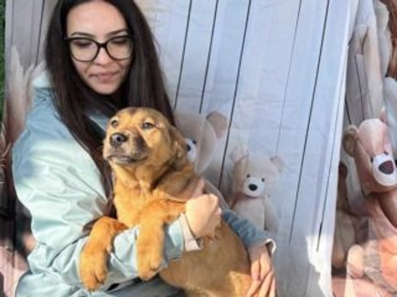 PRINCESS-Wären Sie bereit, Princess zum Teil Ihrer Familie zu machen?