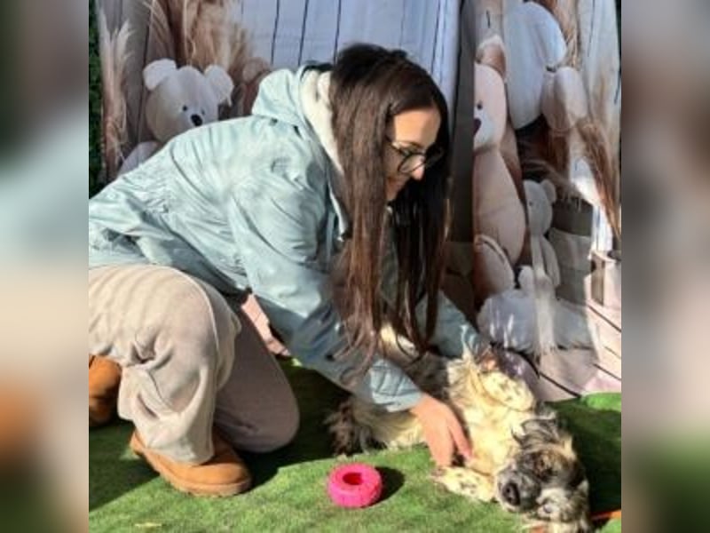 MAGGIE-sucht ein Menschenherz, das ihr die Welt zeigt