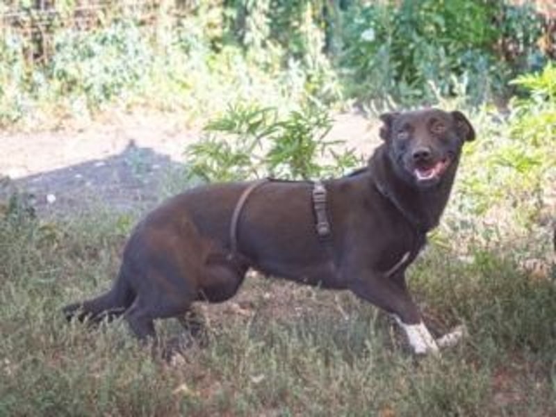 Shannon-Neugierig und doch ein bisschen vorsichtig