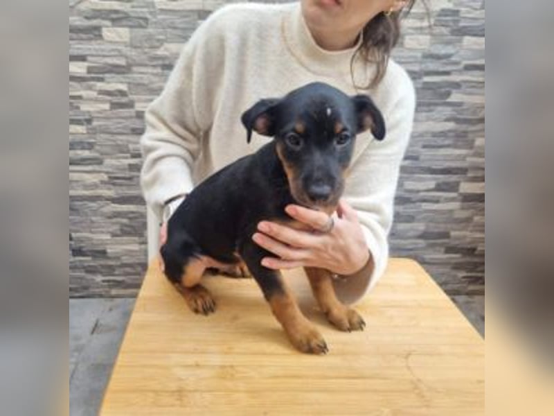 POLO-bald alt genug für seinen guten Start ins Leben