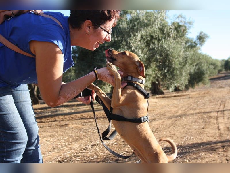 LUNA- pure Lebensfreude trifft mitten ins Herz. Gute-Laune-Mädchen sucht liebevolles Zuhause