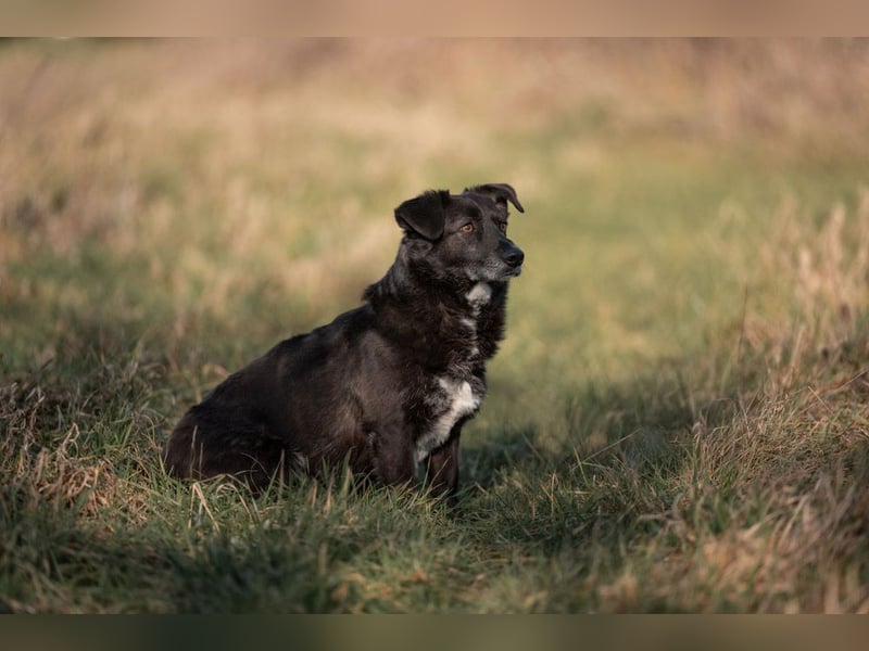TITI-kleiner, freundlicher Teddybär, toller Alltagsbegleiter
