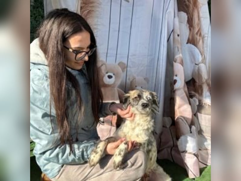 MAGGIE-sucht ein Menschenherz, das ihr die Welt zeigt