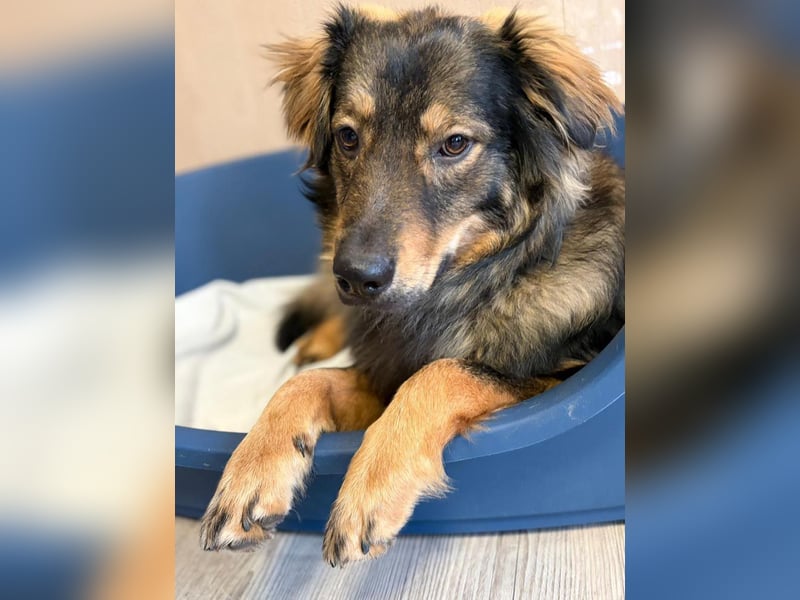 HECTOR- wartet in München auf deinen Besuch