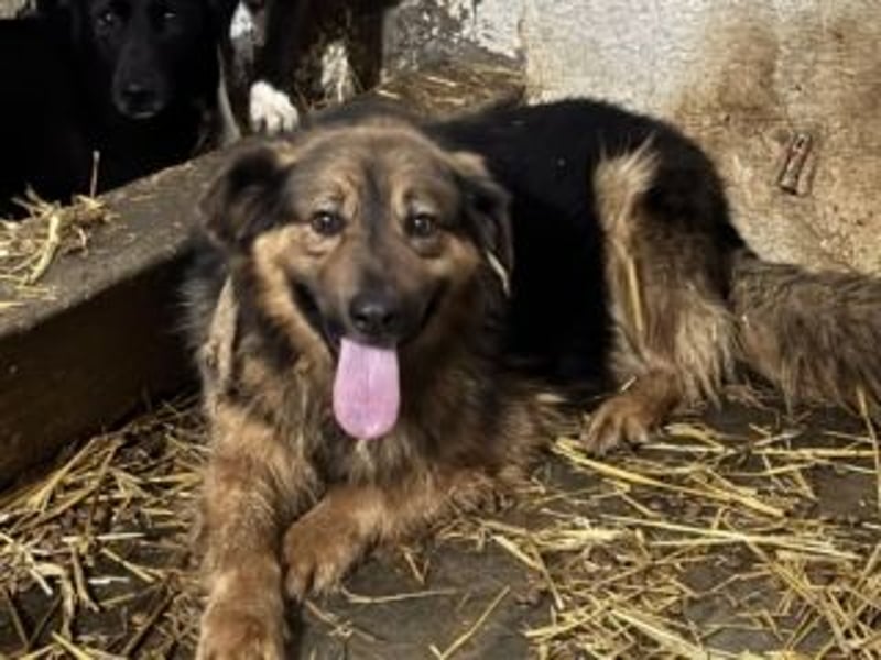 BOBBY-sucht Menschen, die ihm zeigen, was Leben auch sein kann