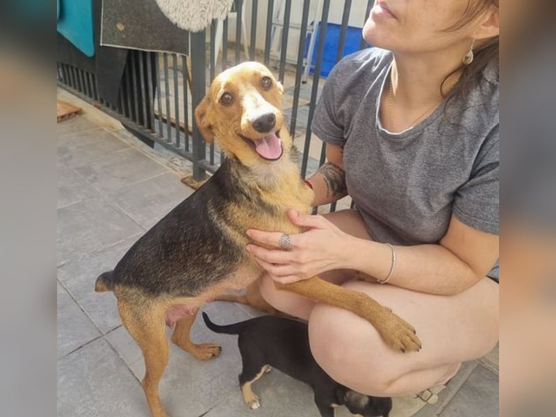 CHINA- überaus zärtlich, fürsorglich, sehnt sich nach menschlicher Nähe und liebevollem Zuhause