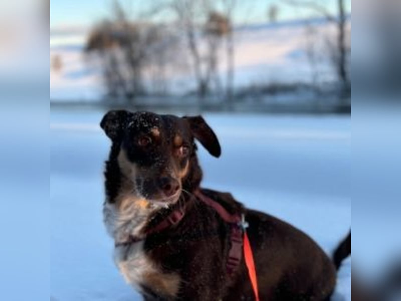 Caramel – sucht Menschen mit Geduld