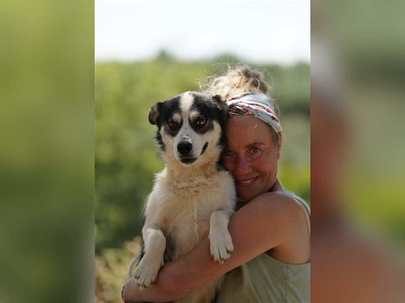 MUCKI - geselliges Kerlchen