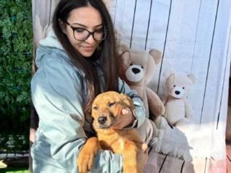 PRINCESS-Wären Sie bereit, Princess zum Teil Ihrer Familie zu machen?