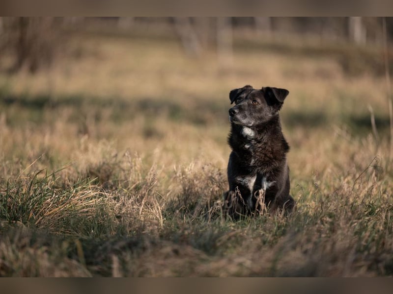 TITI-kleiner, freundlicher Teddybär, toller Alltagsbegleiter