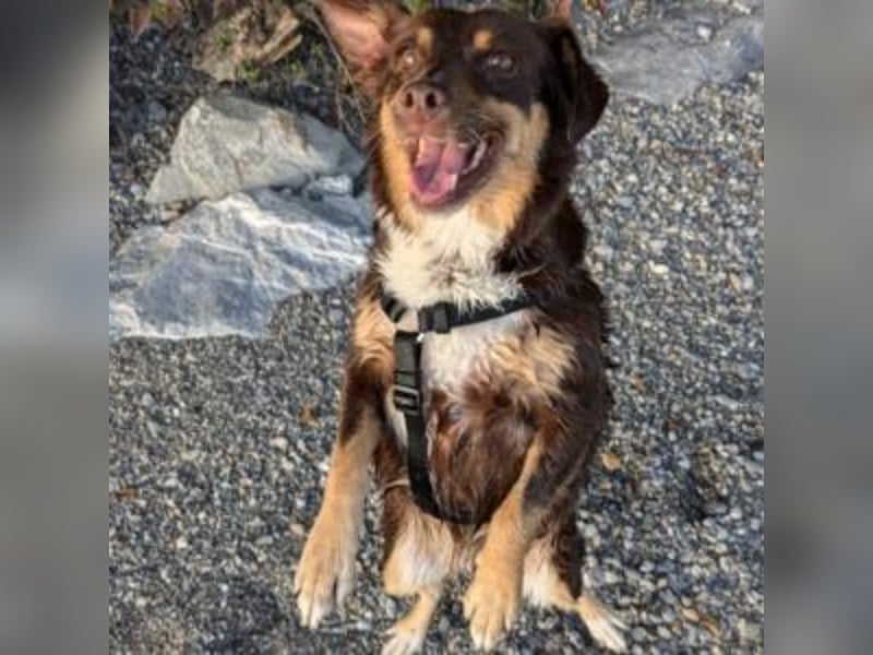 Caramel – sucht Menschen mit Geduld