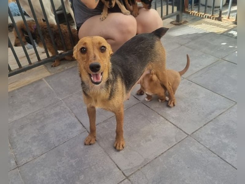 CHINA- überaus zärtlich, fürsorglich, sehnt sich nach menschlicher Nähe und liebevollem Zuhause