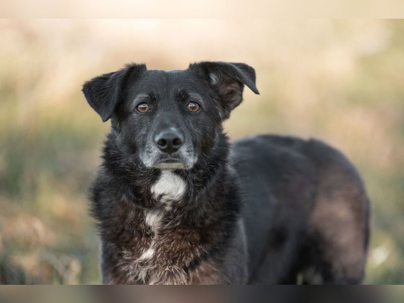 TITI-kleiner, freundlicher Teddybär, toller Alltagsbegleiter