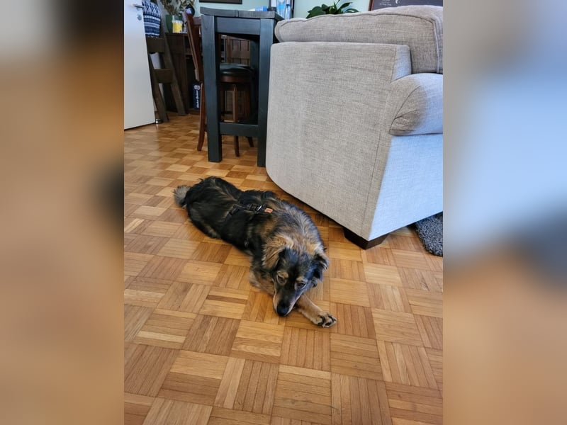 HECTOR- wartet in München auf deinen Besuch