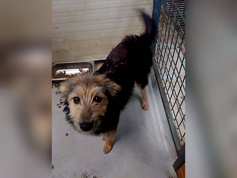 Diesel – offen und freundlich