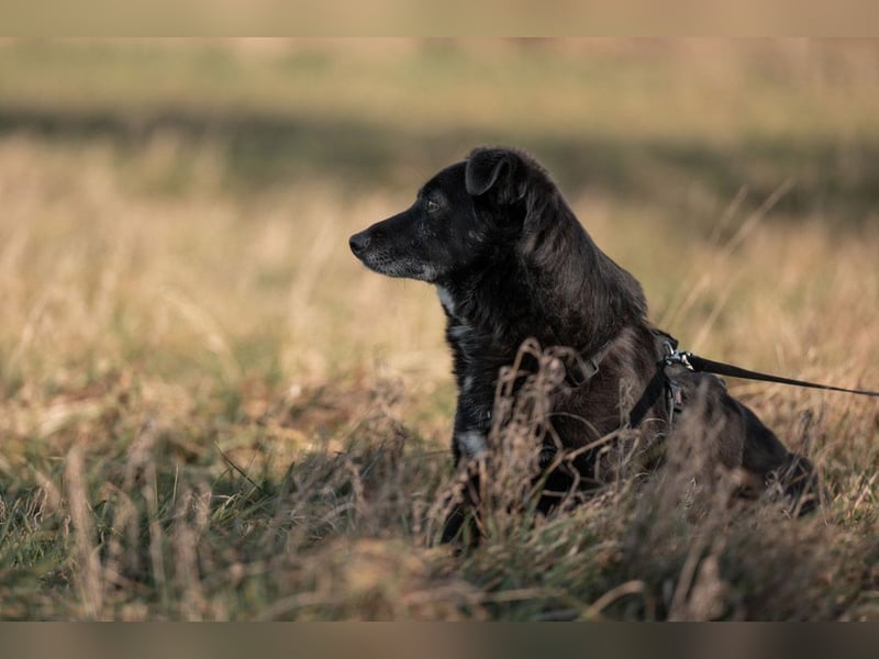 TITI-kleiner, freundlicher Teddybär, toller Alltagsbegleiter