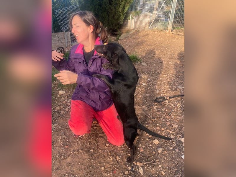 CAPO-ein kleiner,schwarzer Hundejunge,der sofort alle Herzen erobert auf der Suche nach se Familie