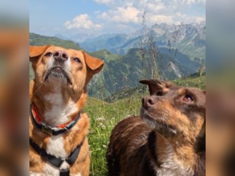 Caramel – sucht Menschen mit Geduld