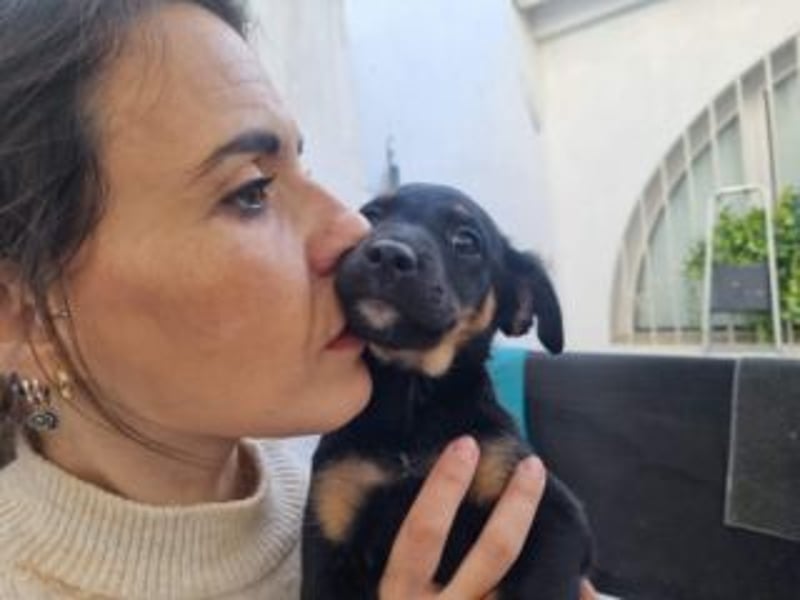 PATITA-kleine Pfoten suchen großes Glück