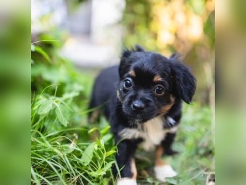 BIMBA-spannende Ausflüge, gemeinsame Urlaube und einem rundum Sorglos-Paket gewünscht