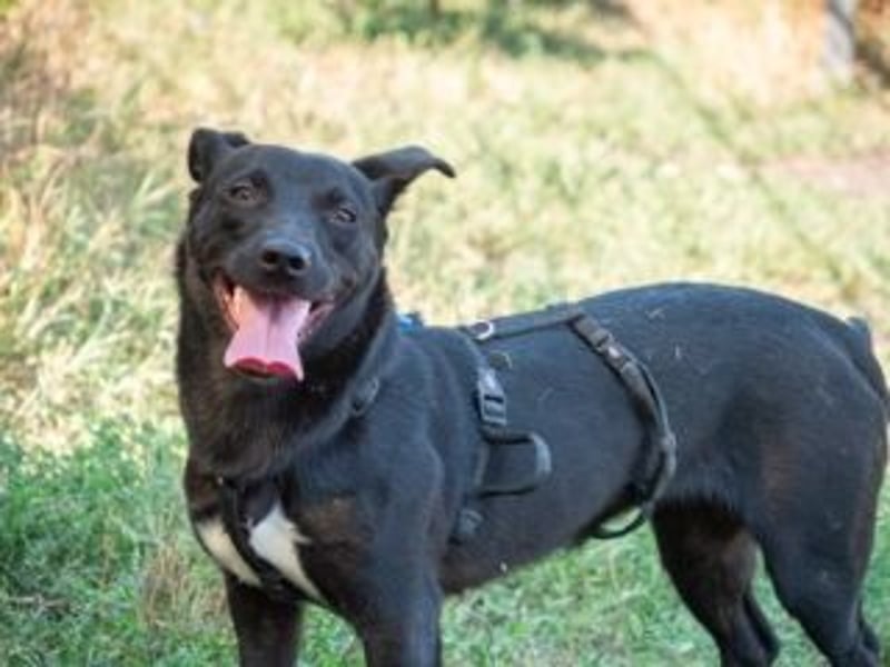 Shannon-Neugierig und doch ein bisschen vorsichtig