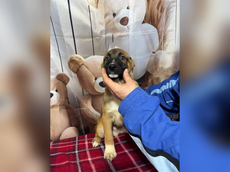 Max – hat sein Köfferchen schon gepackt