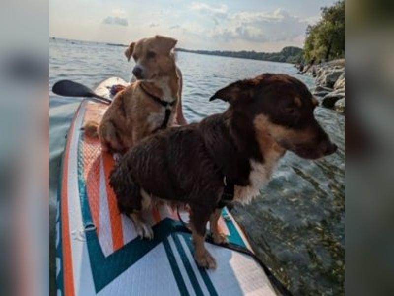 Caramel – sucht Menschen mit Geduld