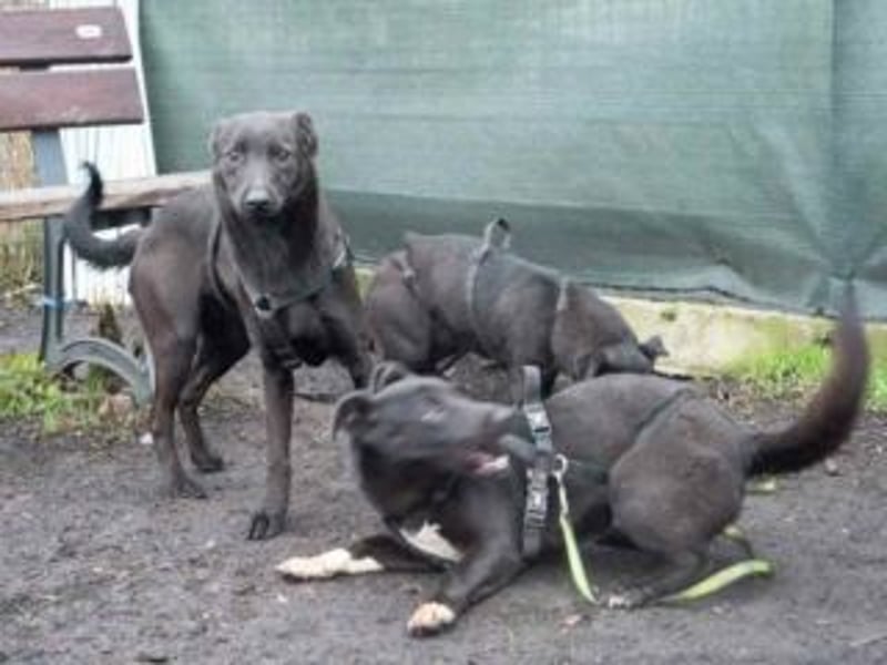 Shannon-Neugierig und doch ein bisschen vorsichtig