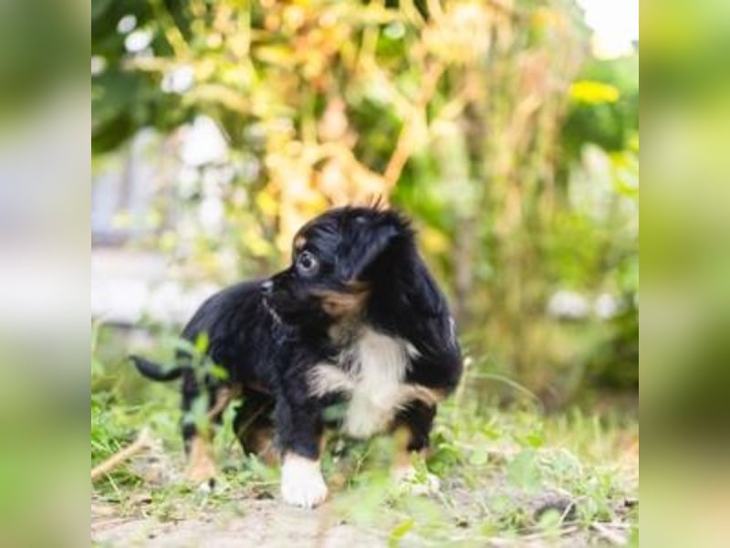 BIMBA-spannende Ausflüge, gemeinsame Urlaube und einem rundum Sorglos-Paket gewünscht