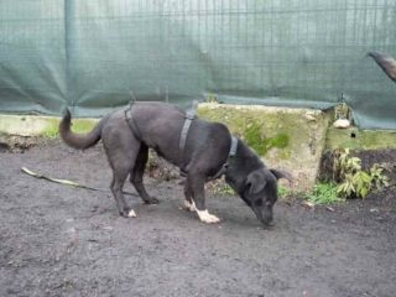 Shannon-Neugierig und doch ein bisschen vorsichtig