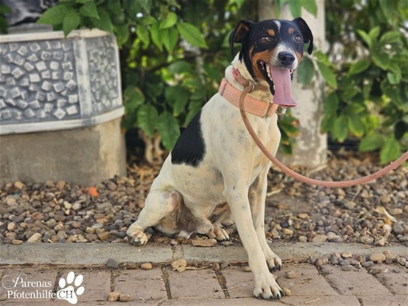 Trevor ist sehr menschenbezogen