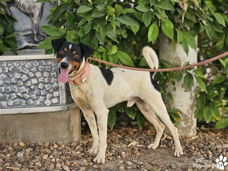 Trevor ist sehr menschenbezogen