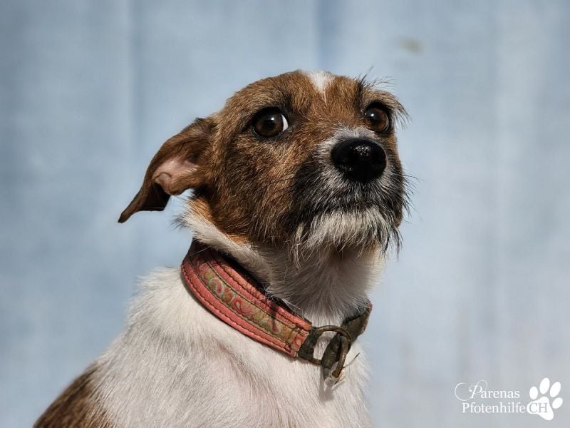 Kiana ist fröhlich und ausgeglichen und eine tolle Mama, sie braucht anfangs Zeit