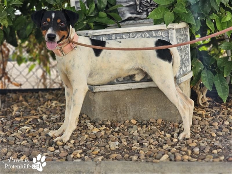 Trevor ist sehr menschenbezogen