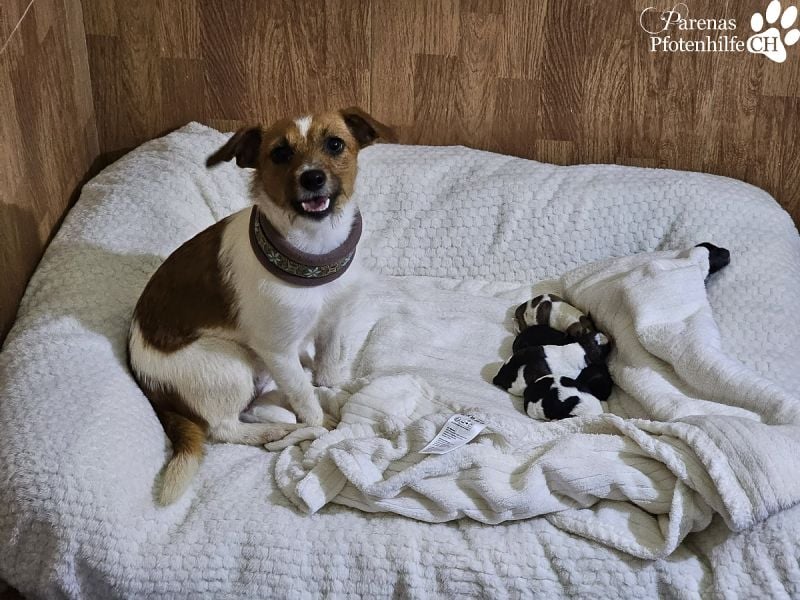 Kiana ist fröhlich und ausgeglichen und eine tolle Mama, sie braucht anfangs Zeit