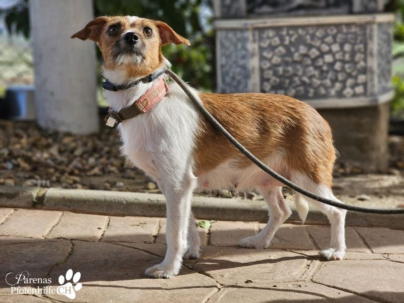 Kiana ist fröhlich und ausgeglichen und eine tolle Mama, sie braucht anfangs Zeit