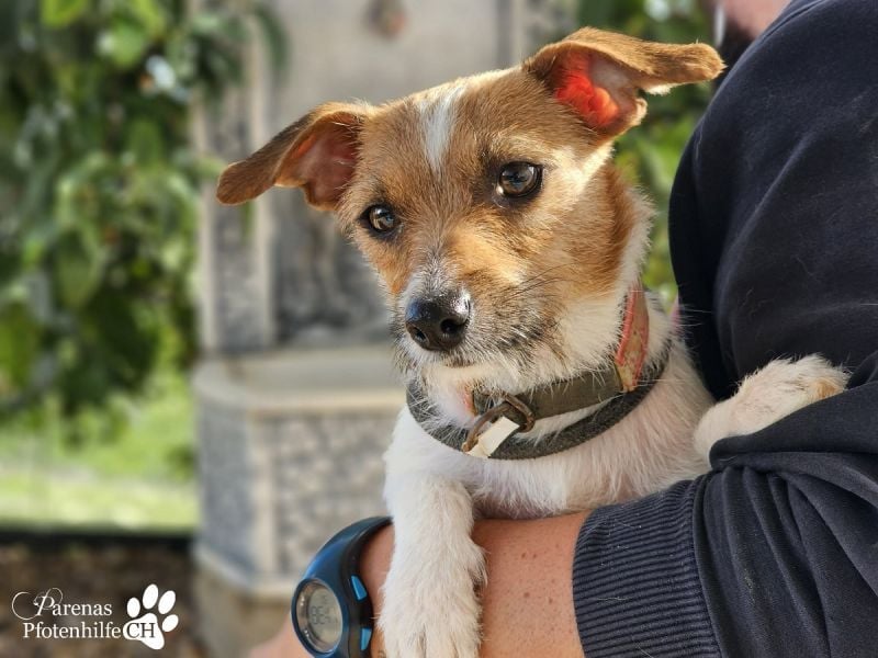 Kiana ist fröhlich und ausgeglichen und eine tolle Mama, sie braucht anfangs Zeit