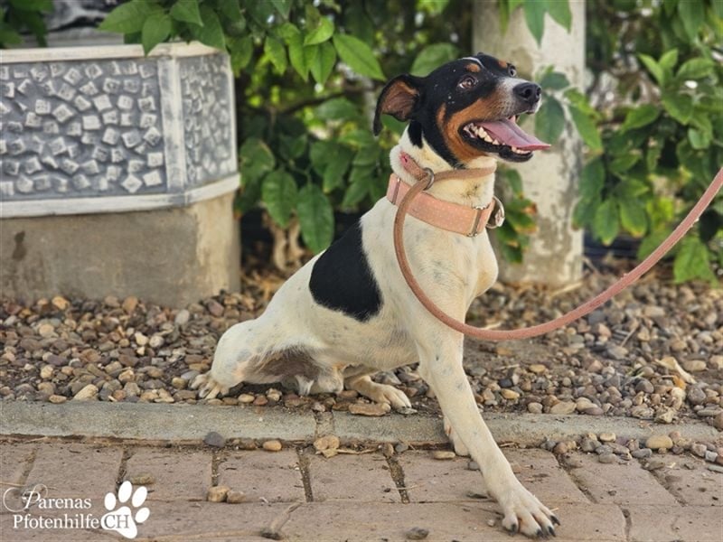 Trevor ist sehr menschenbezogen