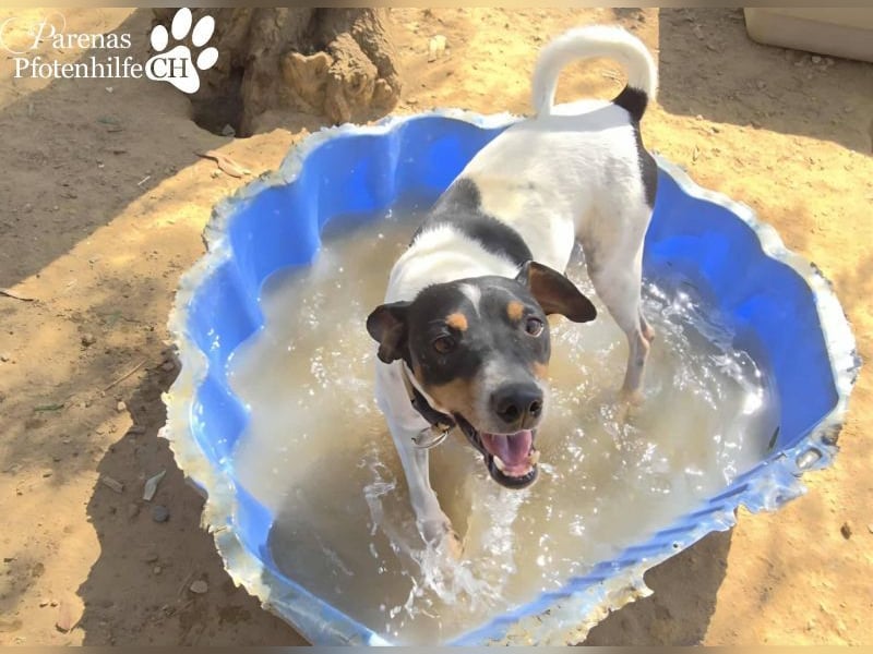 Trevor ist sehr menschenbezogen