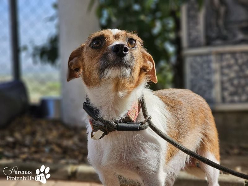 Kiana ist fröhlich und ausgeglichen und eine tolle Mama, sie braucht anfangs Zeit