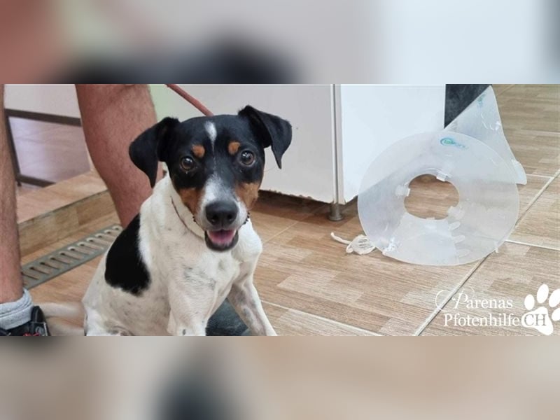 Trevor ist sehr menschenbezogen