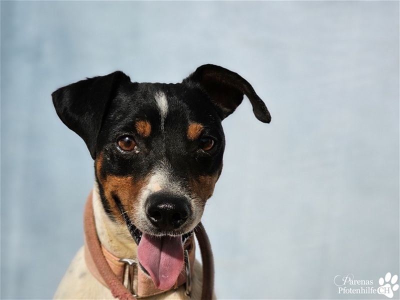 Trevor ist sehr menschenbezogen